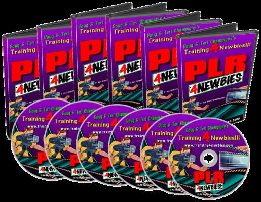 Product picture PLR For Newbies Videos Make more money from your Website